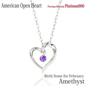 AWXg lbNX y_g v`i 900 Pt900  I[vn[g AJX^C 2 a fB[X Y Mtg a v[g