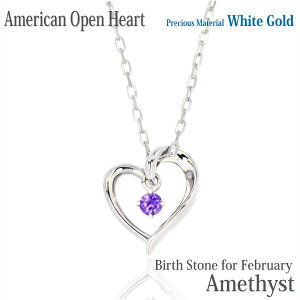 AWXg lbNX y_g K10 zCgS[h K10WG  I[vn[g AJX^C 2 a fB[X Y av[g Mtg