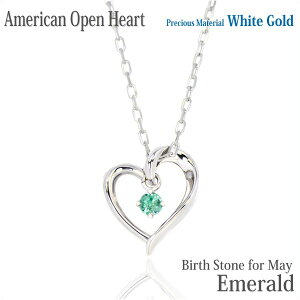 Gh lbNX y_g K10 zCgS[h K10WG  I[vn[g AJX^C 5 a fB[X Y av[g Mtg