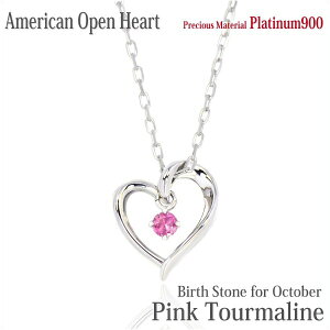 sNg} lbNX y_g v`i 900 Pt900  I[vn[g AJX^C 10 a fB[X Y Mtg a v[g