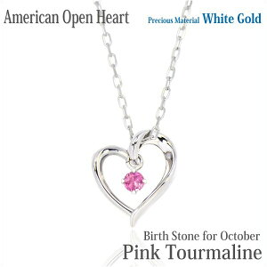 sNg} lbNX y_g K10 zCgS[h K10WG  I[vn[g AJX^C 10 a fB[X Y av[g Mtg