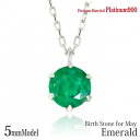 プラチナ900 Pt900 製 5mm エメラルド ビキニスタイル ペンダント 5月 誕生石 一粒ジュエリー レディース メンズ 誕生日プレゼント ギフト