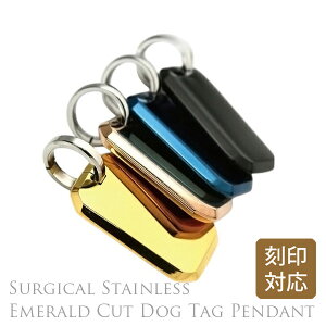 AM[ɗD T[WJXeX v[g GhJbg XeX y_ggbv ID^O `F[ʔ lbNX ʍ\ IׂJ[ 1 fB[X 