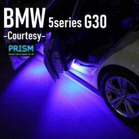 BMW 5シリーズ G30 セダン LED カーテシ 純正ユニット交換タイプ ドア下ライト カーテシランプ 室内灯 ルームランプ 青色 2個 1set 2色展開 1年保証付【ネコポス便対応】