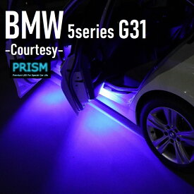 BMW 5シリーズ G31 ツーリング LED カーテシ 純正ユニット交換タイプ ドア下ライト カーテシランプ 室内灯 ルームランプ 青色 2個 1set 2色展開 1年保証付【ネコポス便対応】