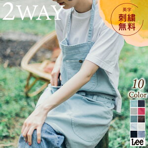 yKiz Lee 2WAY [N fjGv qbR[ Vv  킢 JtF 񂩂 j Vv v[g Mtg  hJ Ɨp