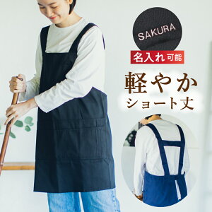 Gv fB[X V[g t[TCY H^ n  jp  킢 v[g Mtg  hJ ̓