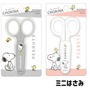 nT~  Xk[s[ Snoopy ͂ gїp