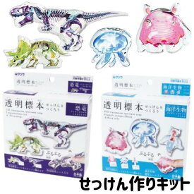 小学生 男の子 工作 手作り セット 簡単 石鹸 知育 作る キット