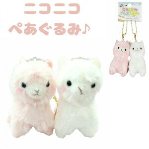 ʂ L[z_[ ApJb\ Zbg 킢 lC