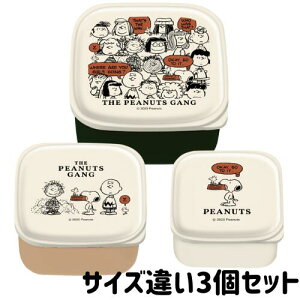 Xk[s[ ٓ ^bp[ TCYႢ q 3  킢