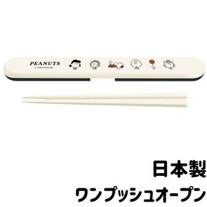 Xk[s[ Zbg LN^[ { gє P[Xt vbVI[v