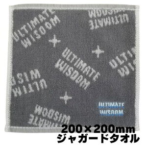 nJ`^I j̎q WK[h ӂ 100 O[  ULTIMATE WISOOM