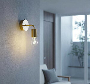 ����d�@ �u���P�b�g DBK42466YG ���� �L�����h���F ���M��60W���� �����p �H���K�v