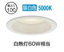 大光電機 屋内・屋外兼用ベースダウンライト DDL6132WW COBタイプ Φ100 昼白色 白熱灯60W相当 工事必要