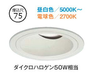 ����d�@ ���j�o�[�T���_�E�����C�g DDLCD031W �������F �M�����s�v�^�C�v ��75 �_�C�N��50W���� �H���K�v