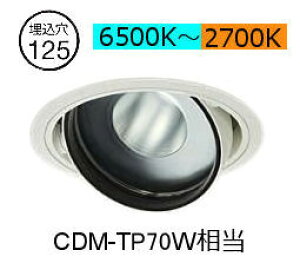 ����d�@ ���j�o�[�T���_�E�����C�g LZD-9096FWM4 ��125 CDM-T70W���� �����F PWM���F���� �H���K�v