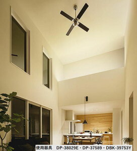 ����d�@ �V�[�����O�t�@�� DP38029E