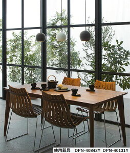 ����d�@ �a���y���_���g DPN40131Y �H���K�v