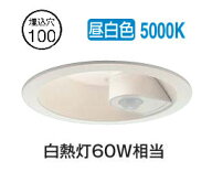 大光電機 人感センサ付ダウンライト 軒下使用可 DDL5394WW 工事必要