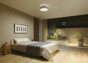 d@ V[OCg DCL41933 F 8~10 Ԑڔzؑ