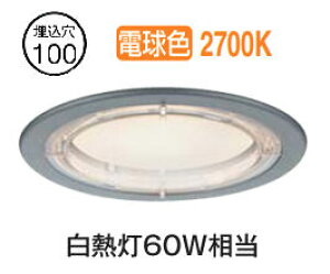 d@ p_ECg DOL5595YS dF HKv