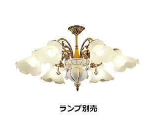 [J[iƖ VfA vʔ  XRC2007KB HKv