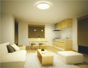 �R�C�Y�~�Ɩ� �V�[�����O AH55651 Fit���F �������F