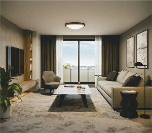 �����[�J�[���i�����R�C�Y�~�Ɩ� �V�[�����O AH55746 Fit���F �������F