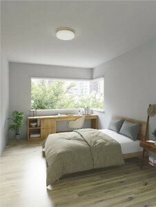 �R�C�Y�~�Ɩ� �V�[�����O AH56004 �������F �X�^���_�[�g���F