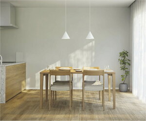 RCY~Ɩ _Ng[py_g AP55557 F