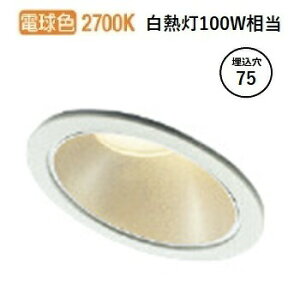 RCY~Ɩ X΁EEH[EHbV[_ECg Op  AD1248W27 HKv