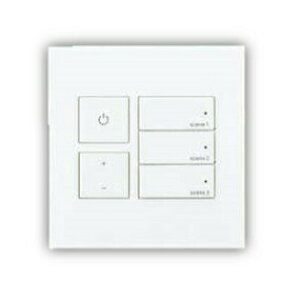 RCY~Ɩ CgRg| AE50249E HKv