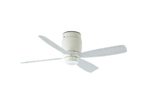 RCY~Ɩ V[Ot@ AEE595031([^[+H) HKv