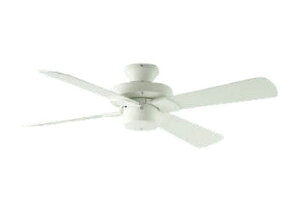 RCY~Ɩf V[Ot@ AEE695070 {̂̂(ʔ)it^j