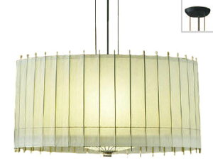 RCY~Ɩ ay_g AP36498L HKv dF