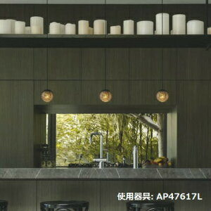 RCY~Ɩ _Ng[py_g AP47617L ʑ dF