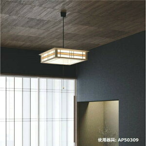 RCY~Ɩ ay_g AP50309 i F