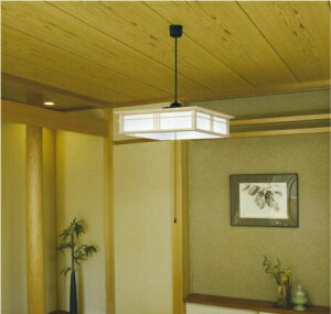 RCY~Ɩ ay_g AP50312 i F