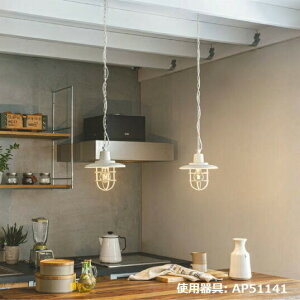 RCY~Ɩ _Ng[py_g AP51141 dF