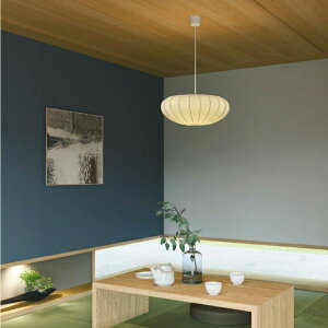 RCY~Ɩ ay_g AP51505 dF