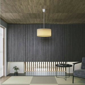 RCY~Ɩ ay_g AP51506 dF