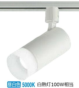 RCY~Ɩ _Ng[pX|bgCg AS51487 p ʑ F