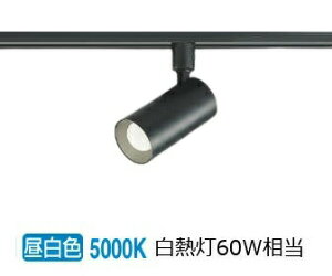 RCY~Ɩf _Ng[pX|bgCg AS53808