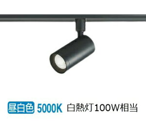 RCY~Ɩf _Ng[pX|bgCg AS53814 ʑ p F