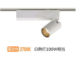 RCY~Ɩ _Ng[pX|bgCg AS53944 p dF