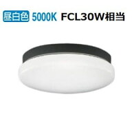 コイズミ照明f 軒下用シーリング AU45017L 工事必要 昼白色