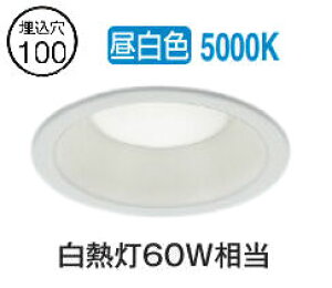 �R�C�Y�~�Ɩ�f �_�E�����C�g AD7250W50