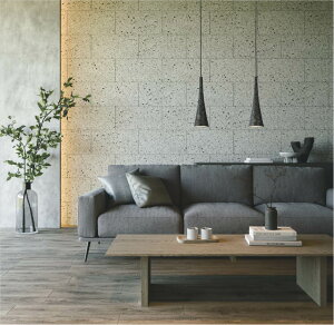 RCY~Ɩ _Ng[pay_g AP57405 