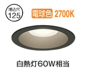 I[fbN px[X_E OD261834R 125 M60W dF  F ZT[AΉ^Cv HKv